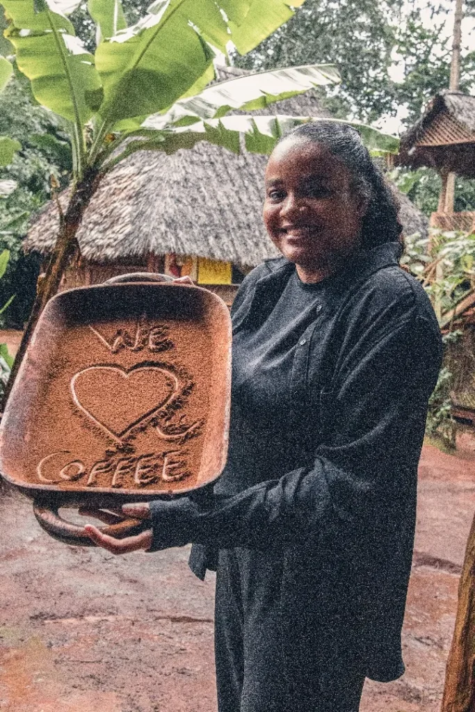 Materuni Waterfalls & Village Day Trip with Coffee Tour
