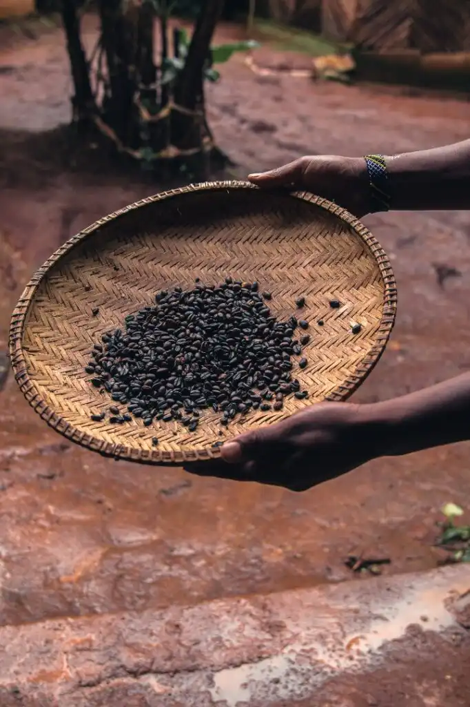 Materuni Waterfalls & Village Day Trip with Coffee Tour