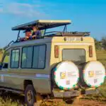 Tanzania National Park Fees - What You Need to Know