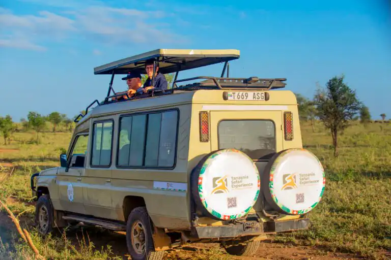 Tanzania National Park Fees - What You Need to Know