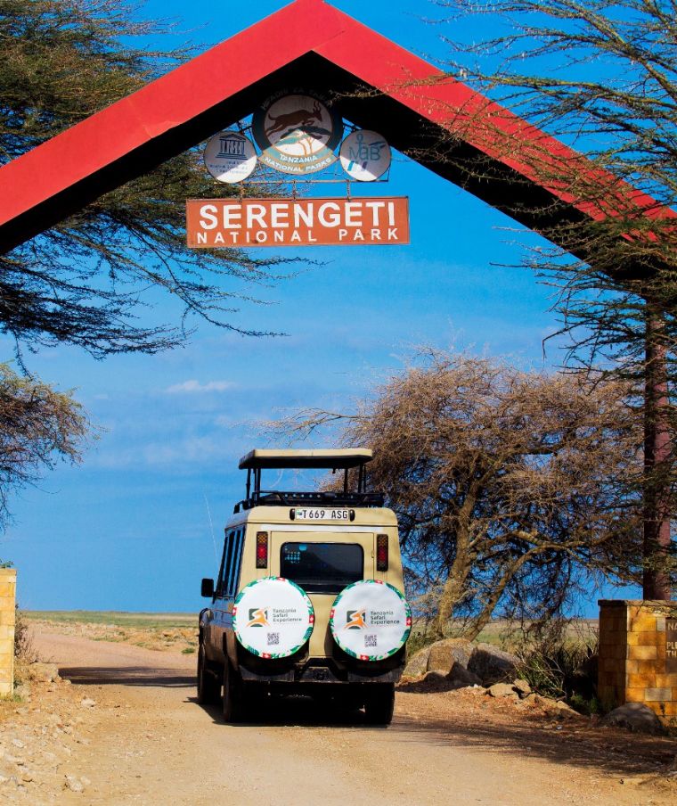 Read more about the article Serengeti National Park