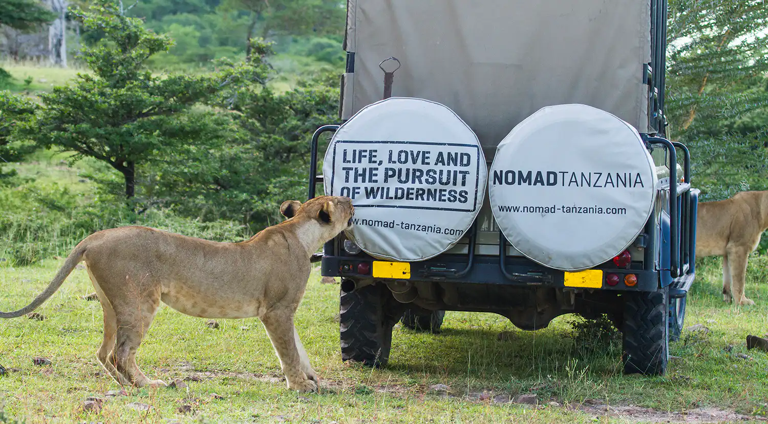 Nomad Safaris Tanzania