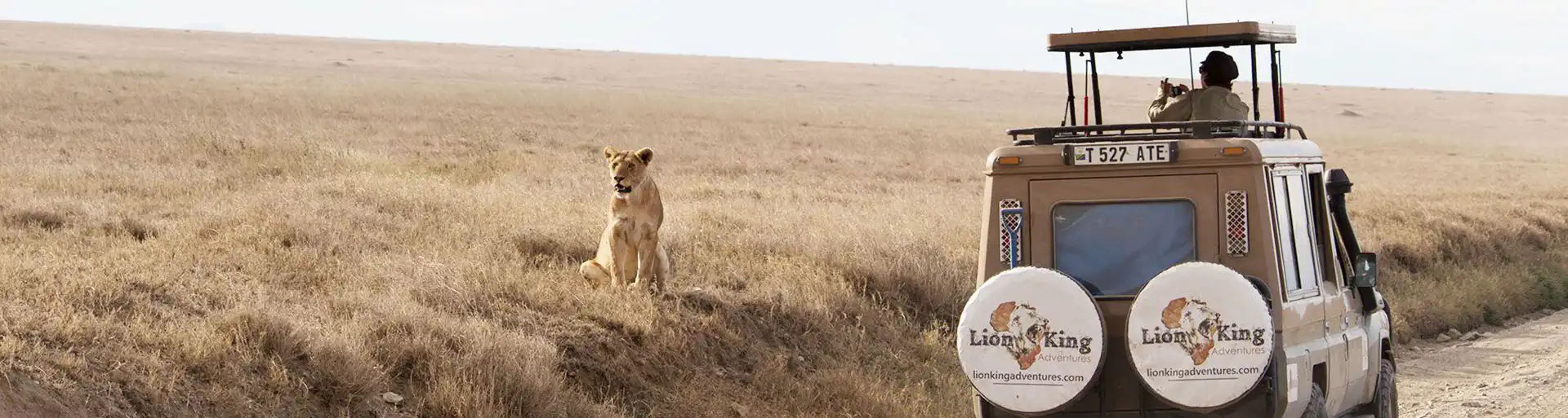 Lion King Tanzania Safari